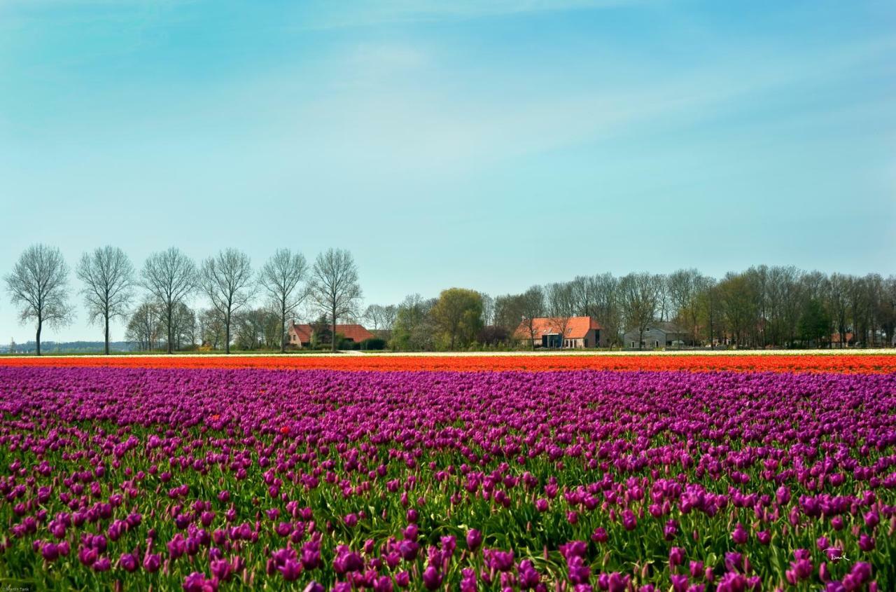 B&B De Strandhoeve Giethoorn Esterno foto